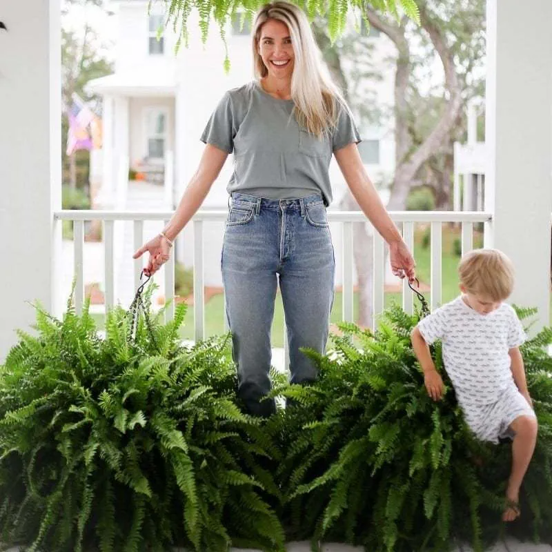 🌺Mother's Day 50% OFF🌱--🌿UV Resistant Lifelike Artificial Boston Fern