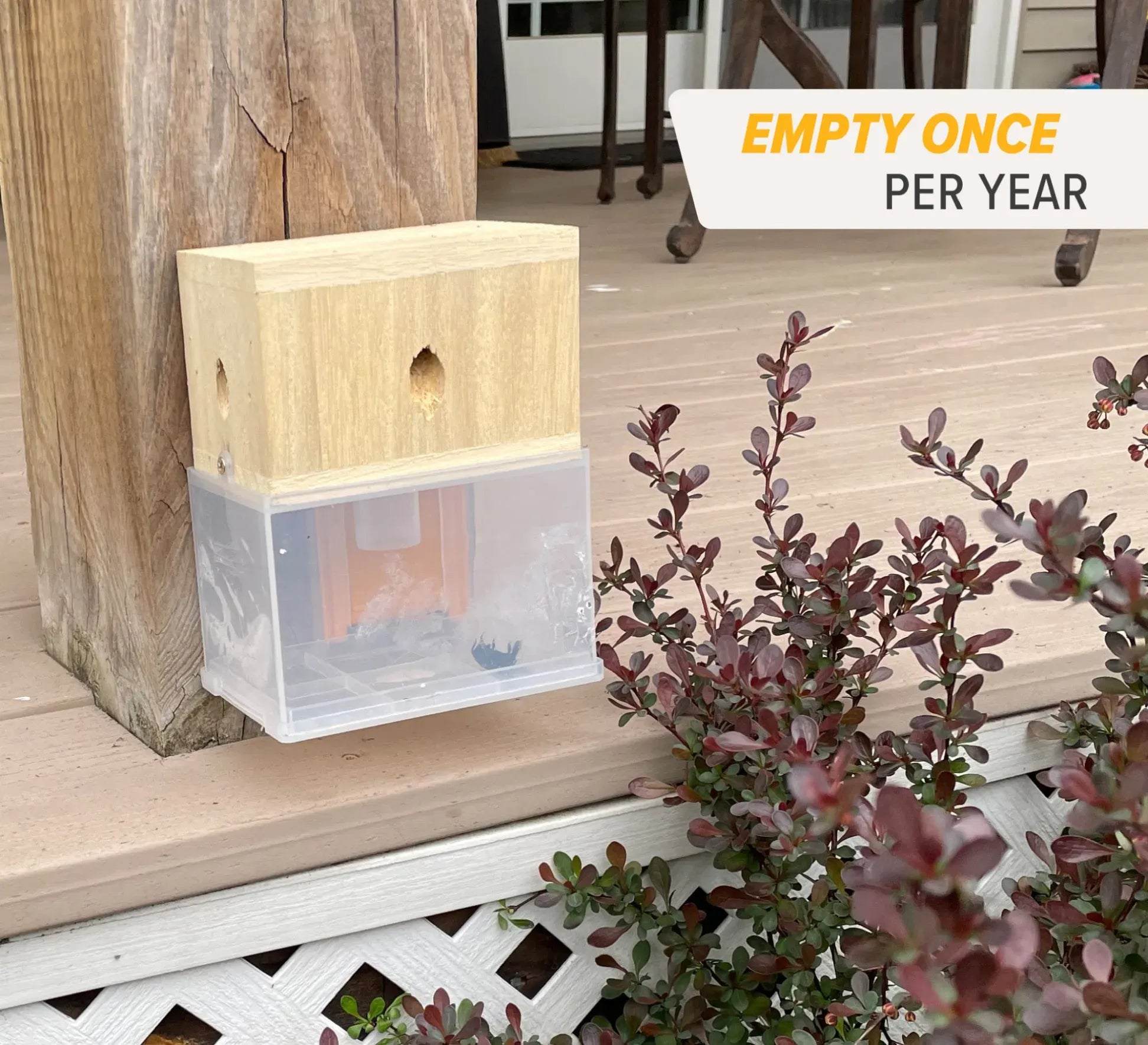 🐝2026 New Brightmagnolia™ Carpenter Bee Trap