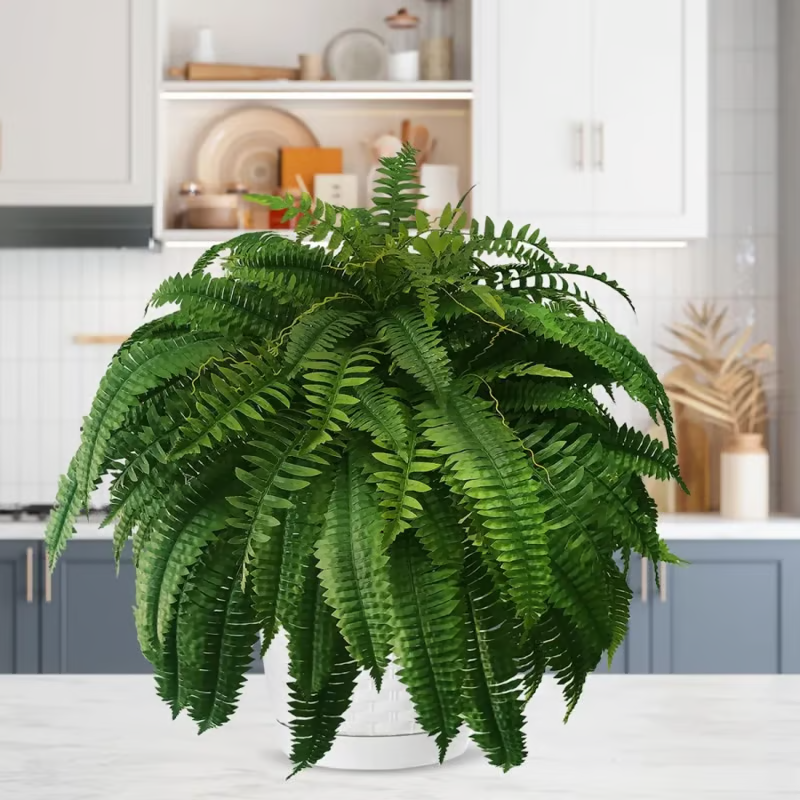 🌺Mother's Day 50% OFF🌱--🌿UV Resistant Lifelike Artificial Boston Fern