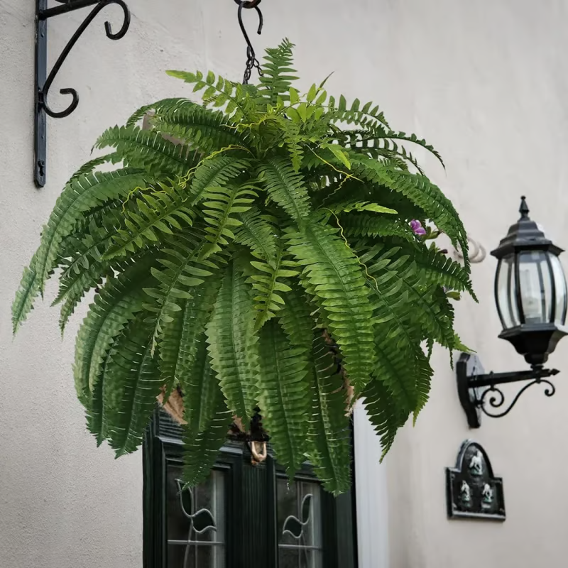 🌺Mother's Day 50% OFF🌱--🌿UV Resistant Lifelike Artificial Boston Fern
