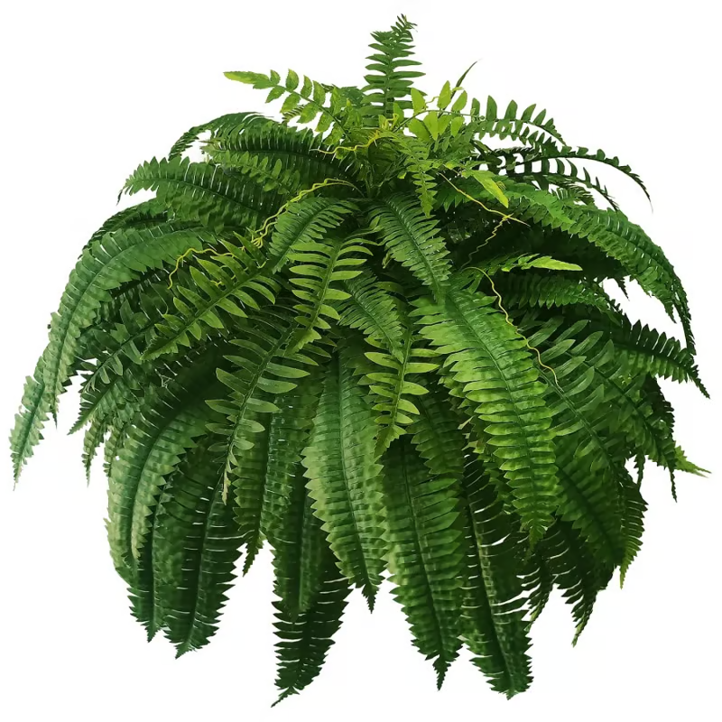 🌺Mother's Day 50% OFF🌱--🌿UV Resistant Lifelike Artificial Boston Fern
