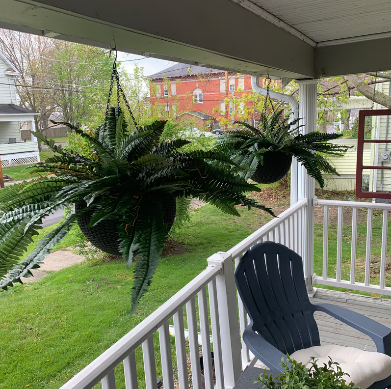 🌺Mother's Day 50% OFF🌱--🌿UV Resistant Lifelike Artificial Boston Fern