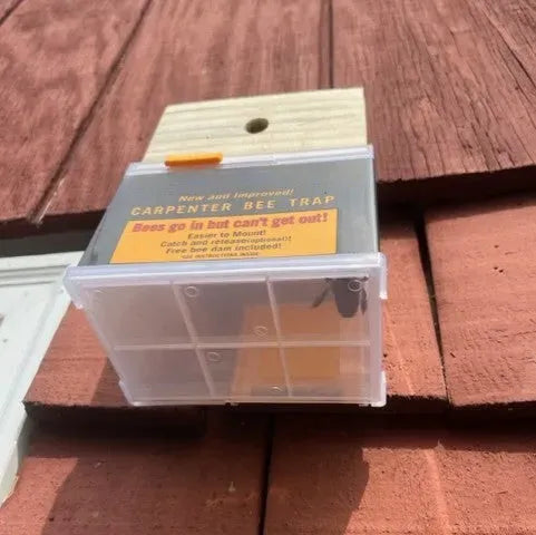 🐝2026 New Brightmagnolia™ Carpenter Bee Trap
