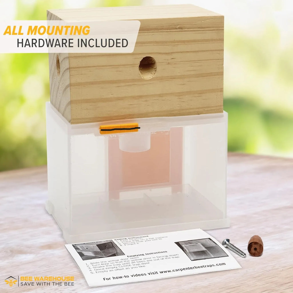 🐝2026 New Brightmagnolia™ Carpenter Bee Trap