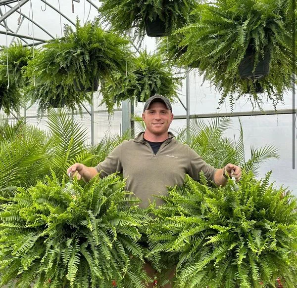 🌺Mother's Day 50% OFF🌱--🌿UV Resistant Lifelike Artificial Boston Fern