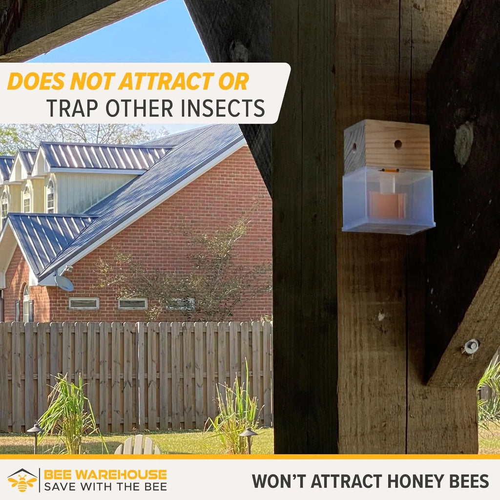 🐝2026 New Brightmagnolia™ Carpenter Bee Trap