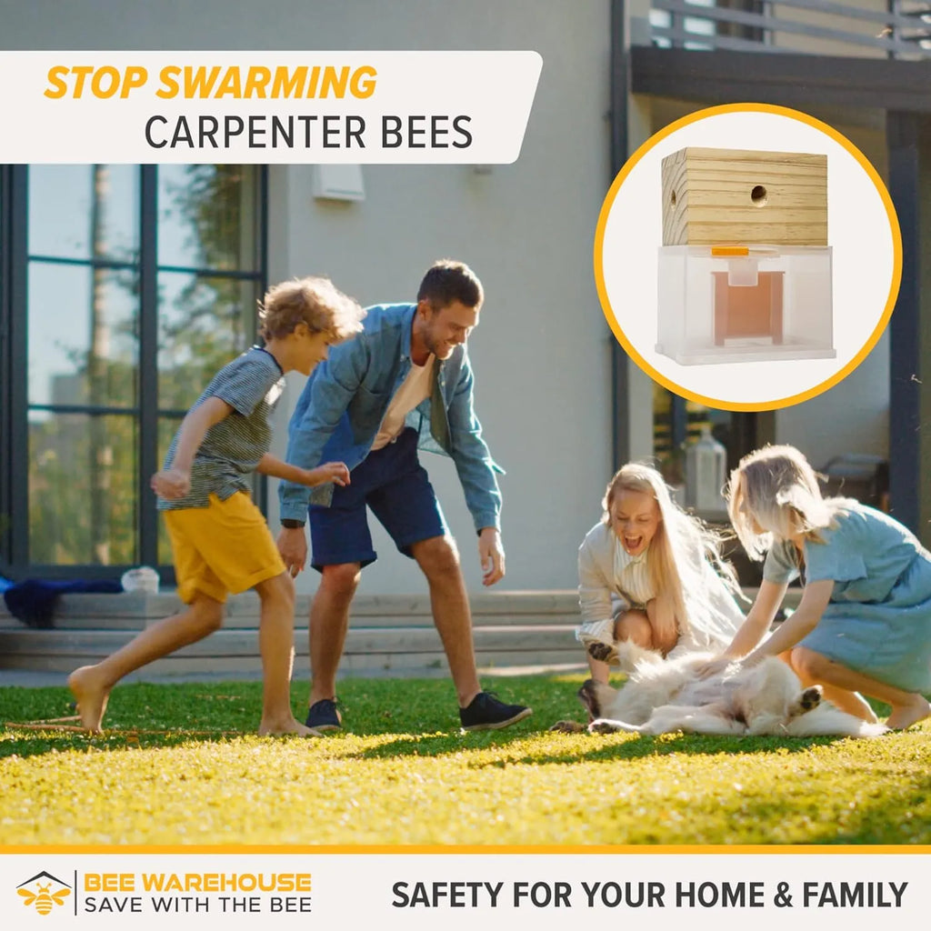 🐝2026 New Brightmagnolia™ Carpenter Bee Trap