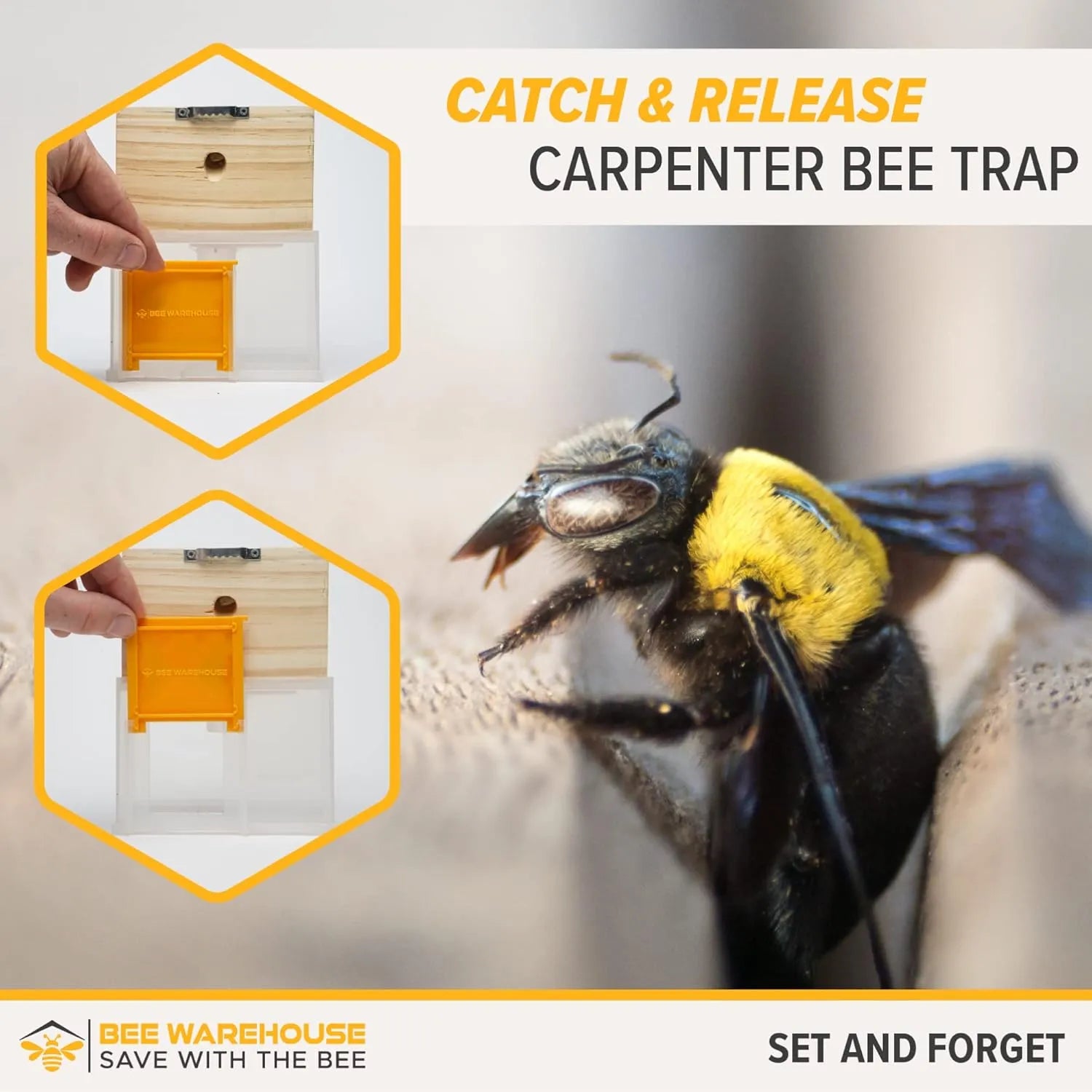 🐝2026 New Brightmagnolia™ Carpenter Bee Trap