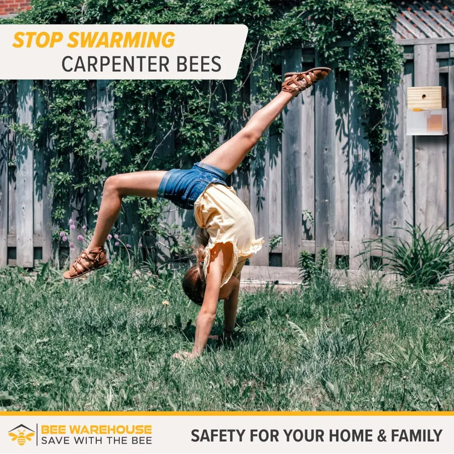 🐝2026 New Brightmagnolia™ Carpenter Bee Trap