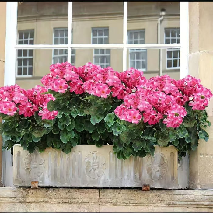 🌺Mother's Day 49% OFF 💐 Bundles Artificial Geranium Flowers For Outdoors Geranium Flowers Outdoor Artificial Flowers UV Resistant Garden Plants Faux Flowers For Home Kitchen Table Centerpieces Patio 🌸✨
